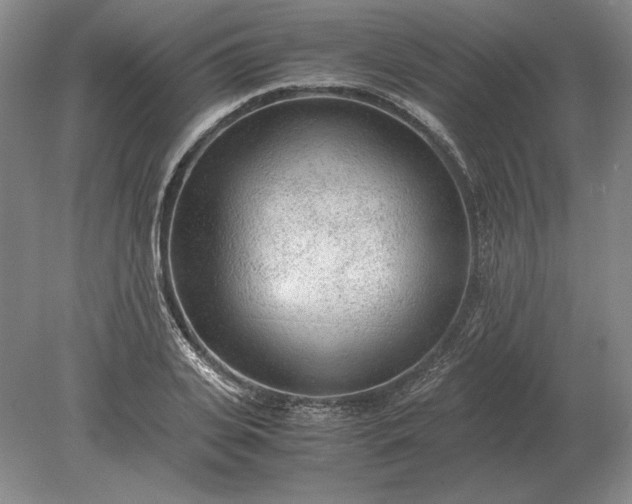 X0000079300935200612011746
