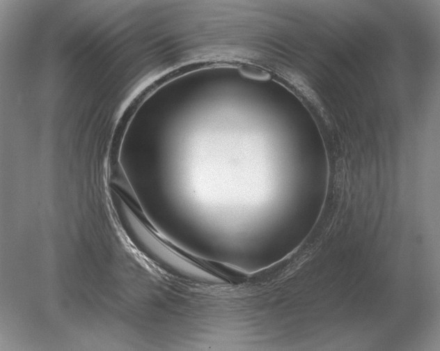 X0000079300936200612011746
