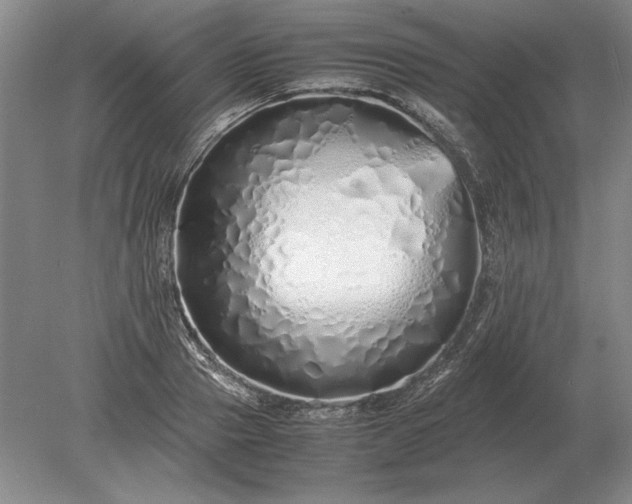 X0000079300937200612011746