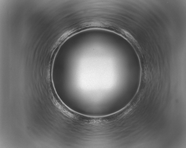 X0000079300938200612011746