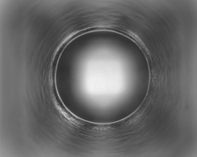 X0000079300939200612011746