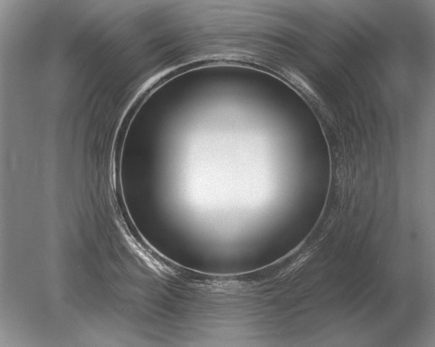 X0000079300940200612011746