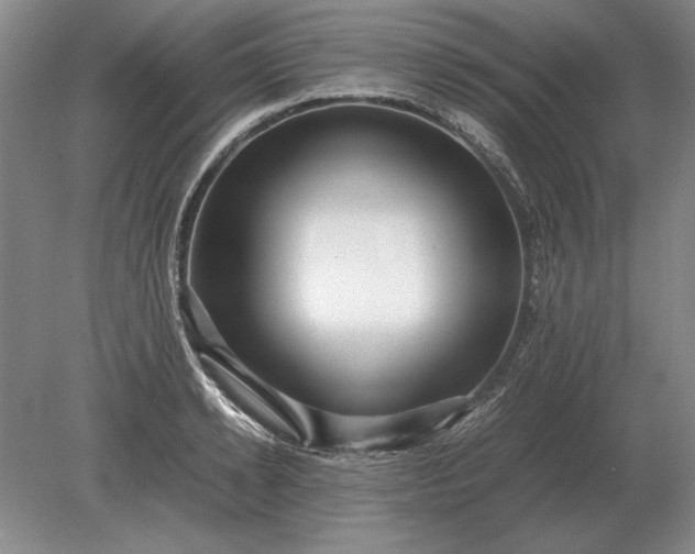 X0000079300942200612011746