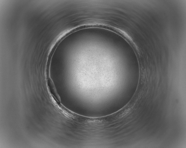 X0000079300943200612011746