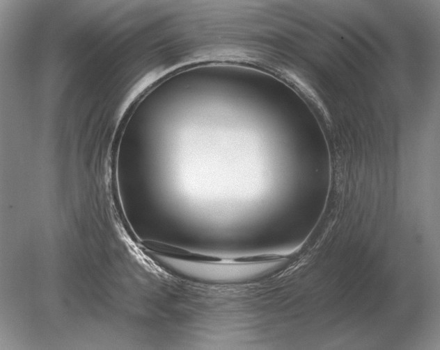 X0000079300944200612011746