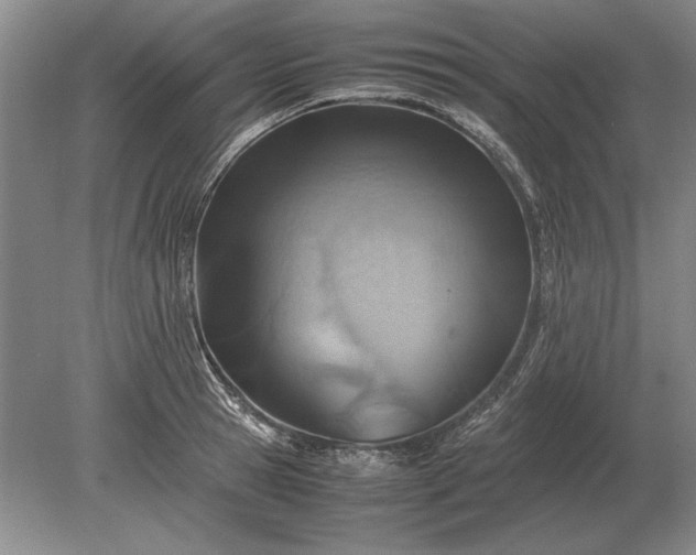 X0000079300945200612011746