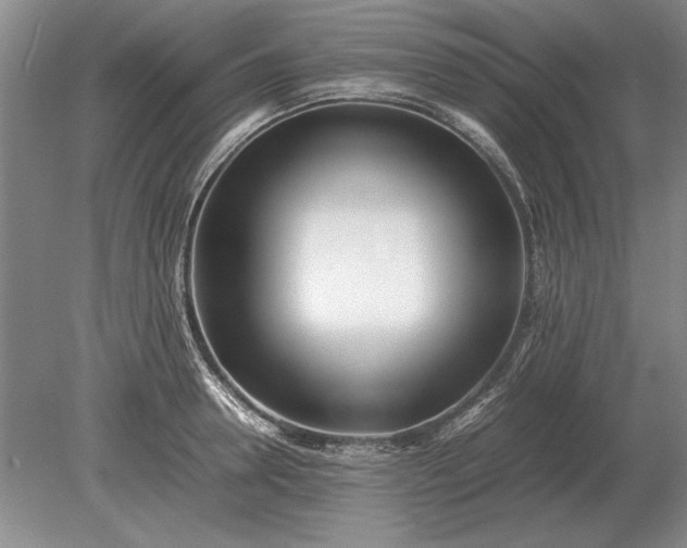 X0000079300946200612011746