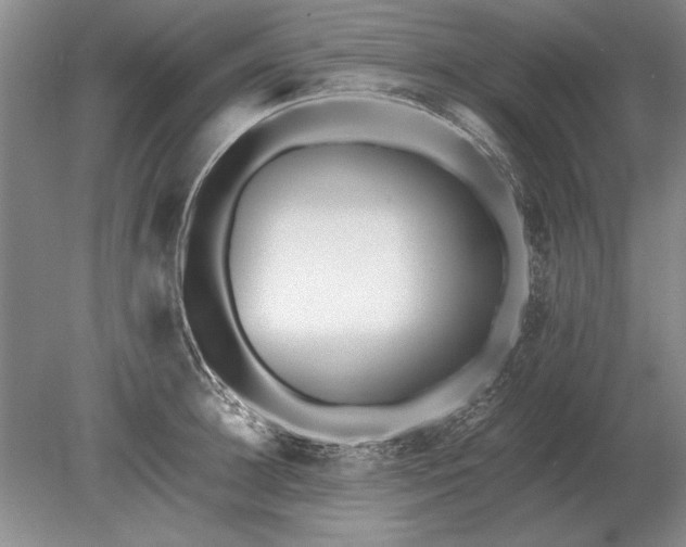 X0000079300948200612011746
