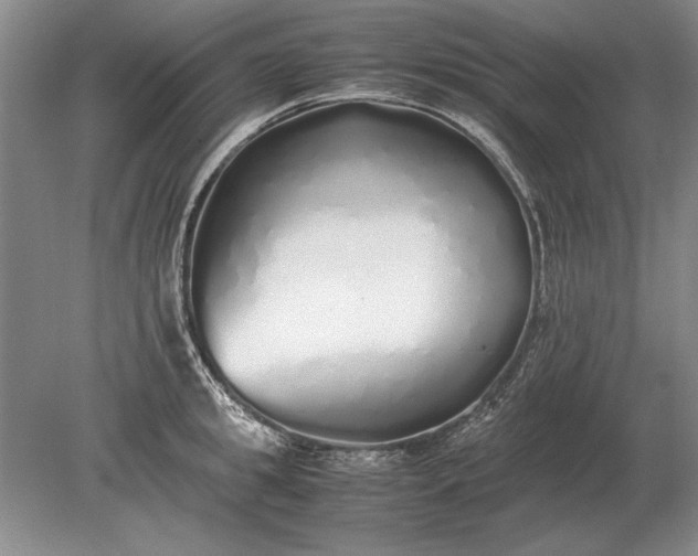 X0000079300949200612011746