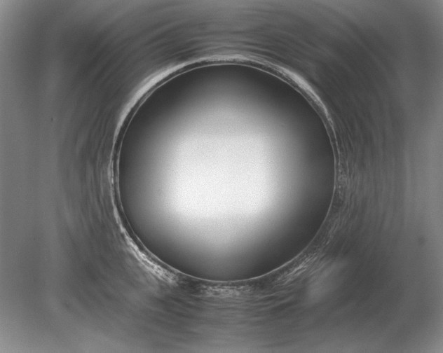 X0000079300951200612011746
