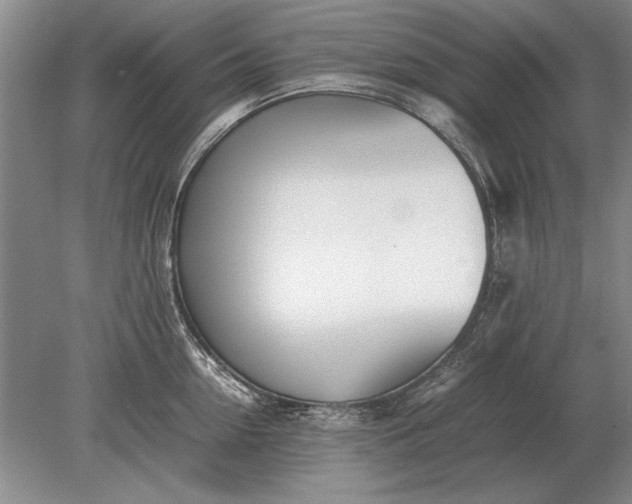 X0000079300954200612011746