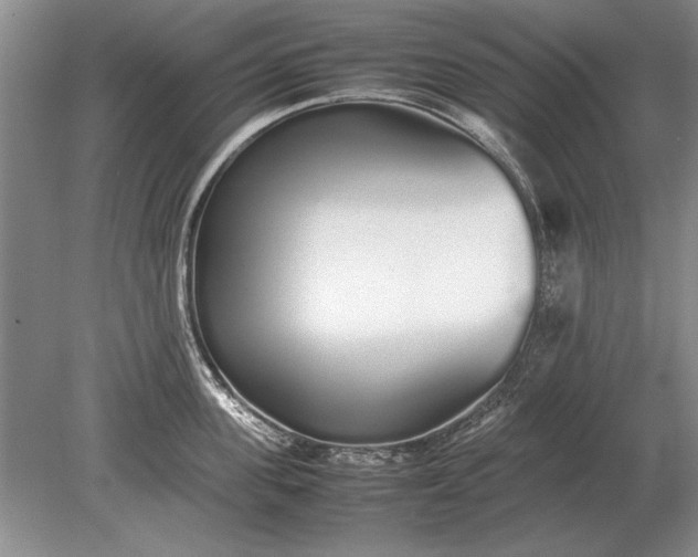 X0000079300955200612011746