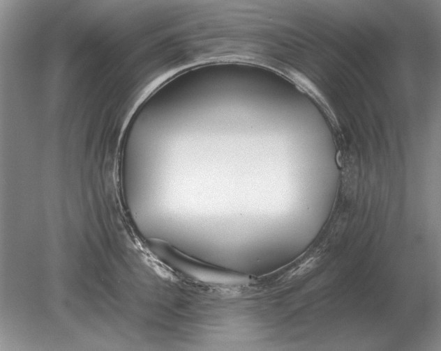 X0000079300956200612011746