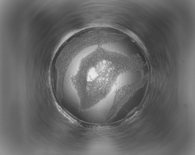 X0000079300958200612011746