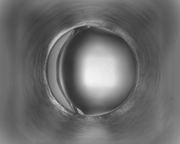X0000079300960200612011746