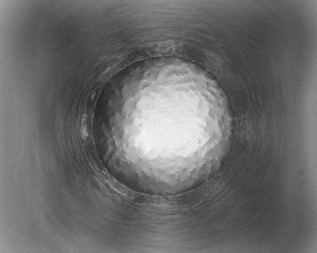 X0000079300962200612011745