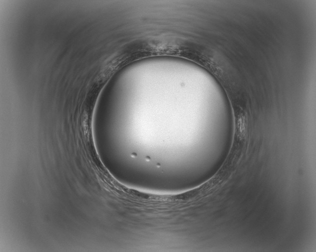 X0000079300963200612011745