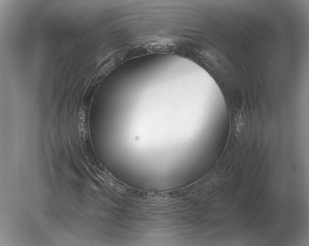 X0000079300964200612011745
