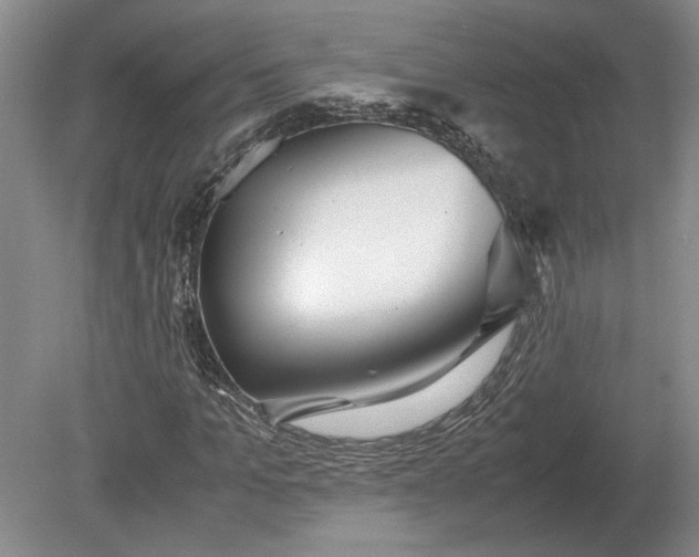 X0000079300965200612011745