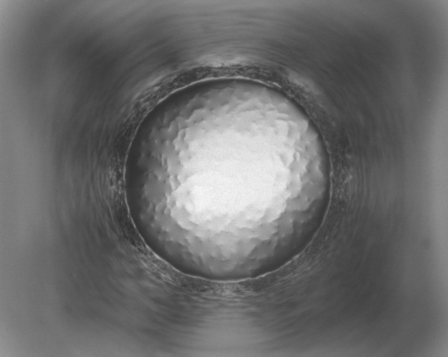 X0000079300966200612011745