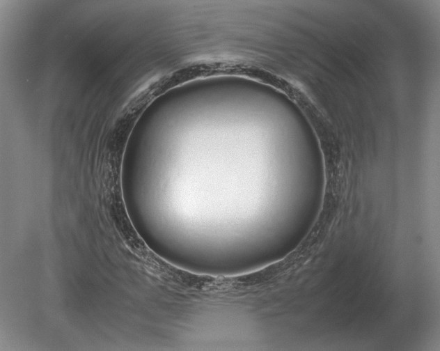 X0000079300967200612011745
