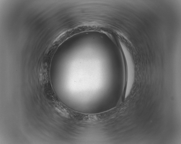 X0000079300968200612011745