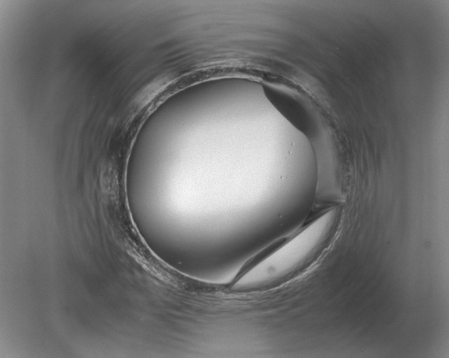 X0000079300969200612011745