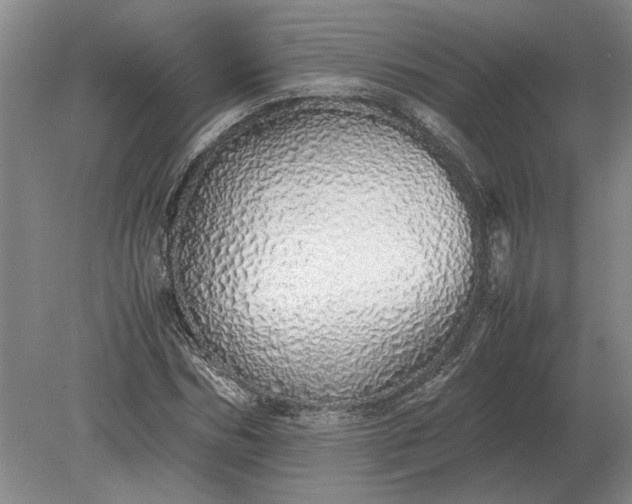 X0000079300970200612011745