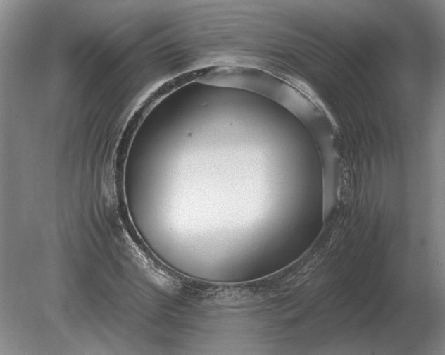 X0000079300972200612011745