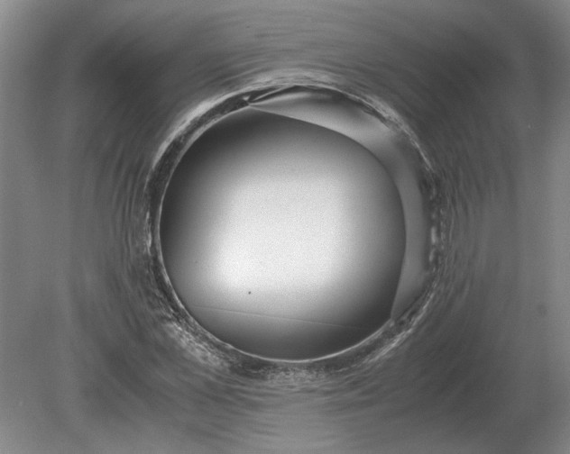 X0000079300973200612011745