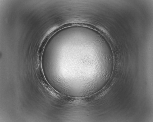 X0000079300974200612011745
