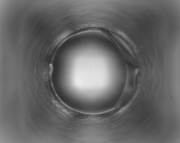 X0000079300977200612011745