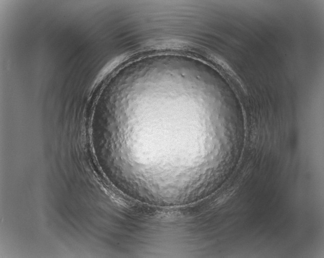 X0000079300978200612011745