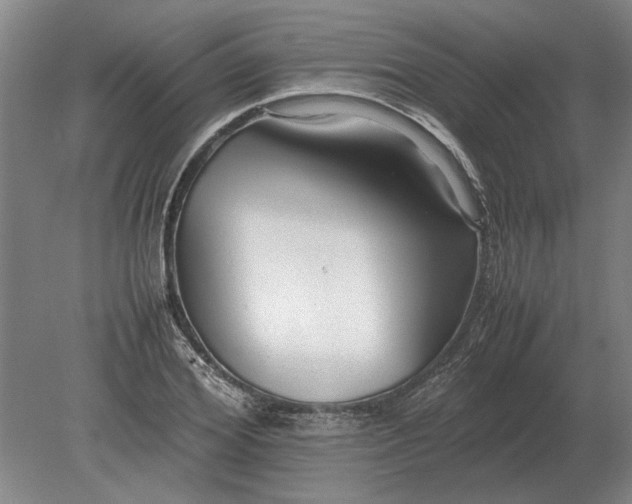 X0000079300980200612011745