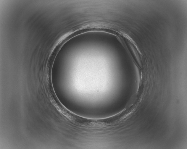 X0000079300981200612011745