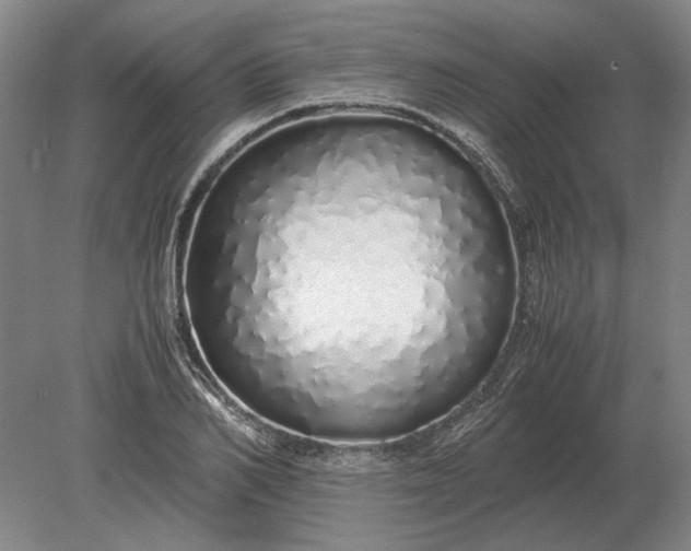 X0000079300982200612011745