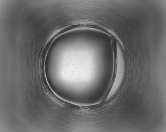 X0000079300983200612011745
