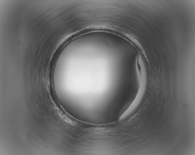 X0000079300984200612011745