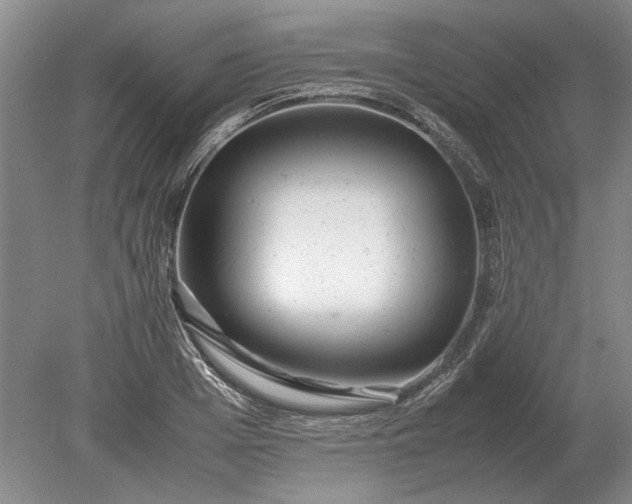 X0000079300985200612011745