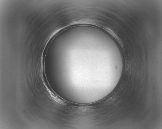 X0000079300988200612011745