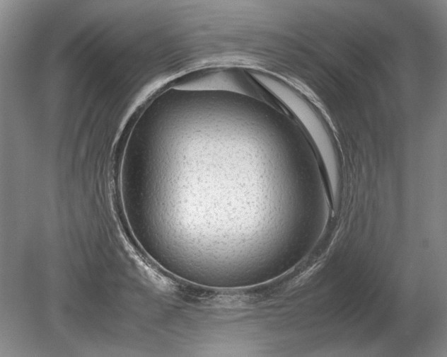 X0000079300989200612011745