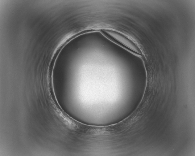 X0000079300990200612011745