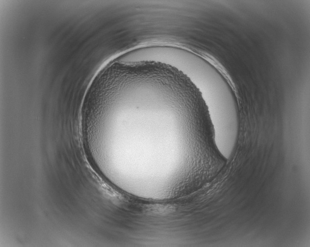 X0000079300996200612011745