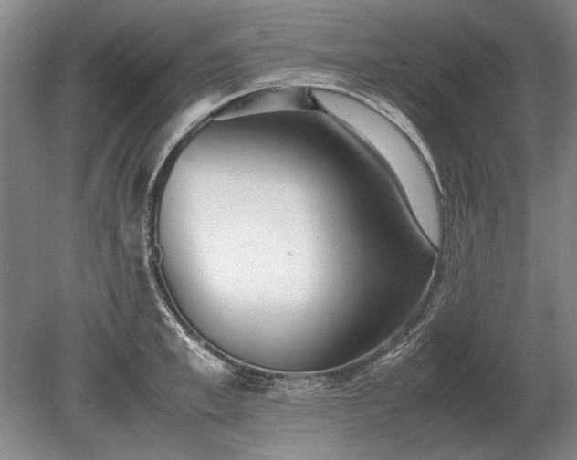 X0000079300997200612011745
