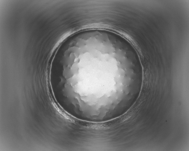 X0000079300998200612011745