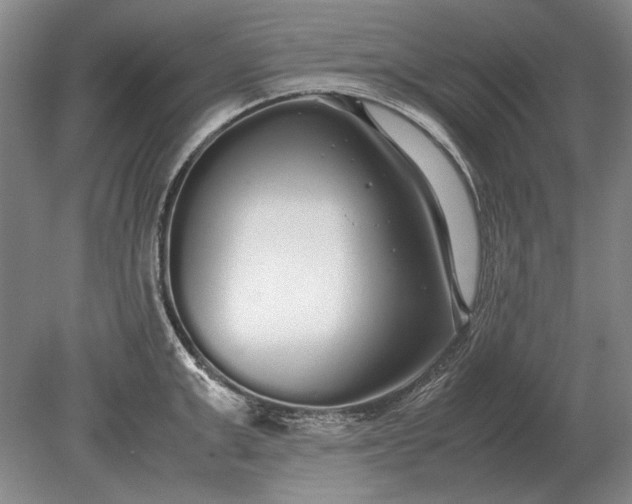 X0000079300999200612011745
