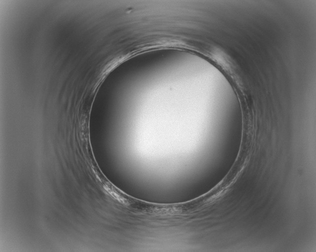 X0000079301001200612011745