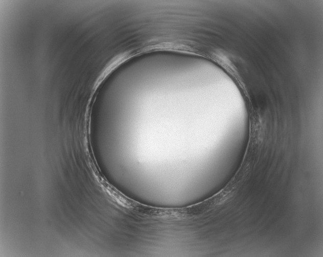 X0000079301002200612011745