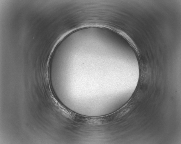 X0000079301004200612011745