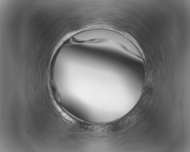 X0000079301005200612011745